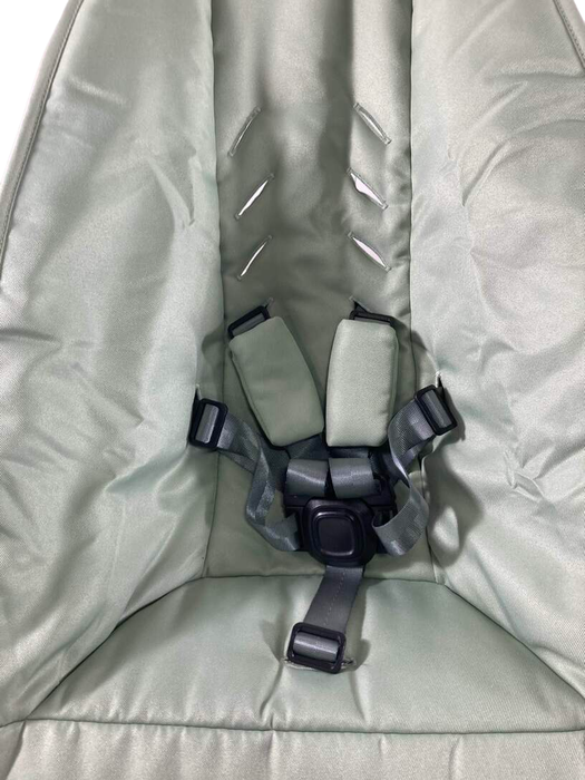 Shop 4moms MamaRoo Multi-Motion Baby Swing, Sage, Limited Edition at Goodbuygears