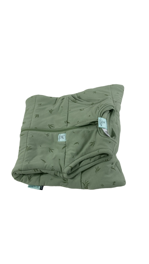 Shop ErgoPouch Cocoon Swaddle Bag 2.5, Willow, 0000M at Goodbuygears