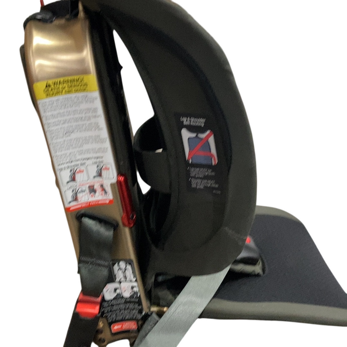 Shop WAYB Pico Portable Car Seat, 2023, Earth at Goodbuygears