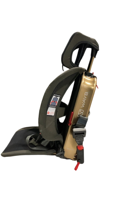 Shop WAYB Pico Portable Car Seat, 2022, Earth at Goodbuygears