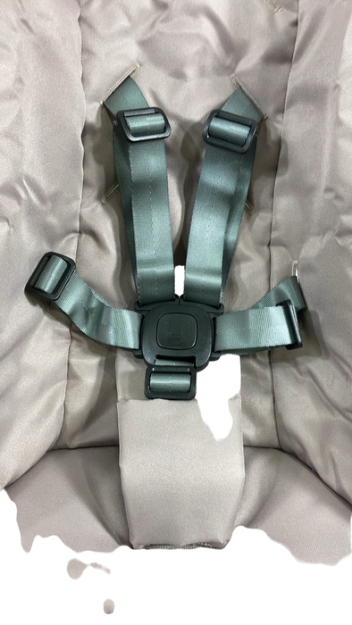 Shop 4moms MamaRoo Multi-Motion Baby Swing, Rosewood at Goodbuygears
