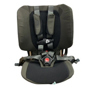 Shop WAYB Pico Portable Car Seat, 2023, Earth at Goodbuygears