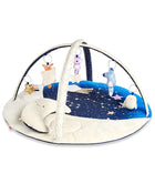 Shop Skip Hop Activity Gym Play Mat, Celestial Dreams at Goodbuygears