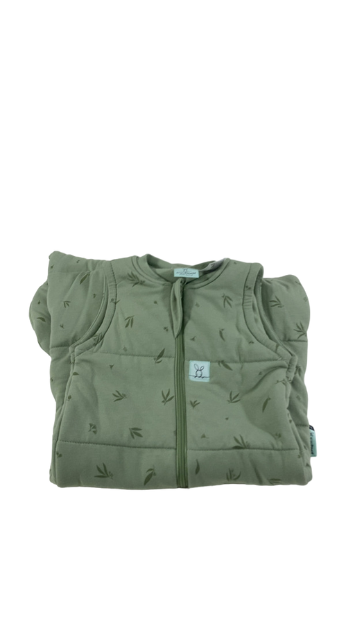 Shop ErgoPouch Cocoon Swaddle Bag 2.5, Willow, 0000M at Goodbuygears
