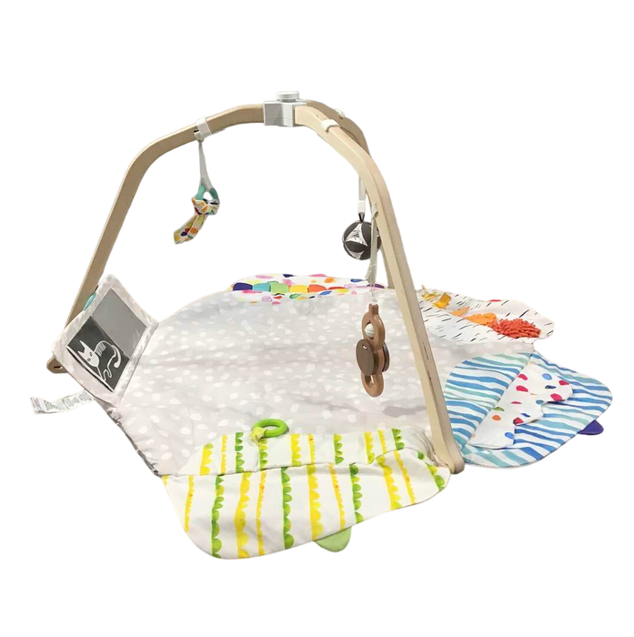 Shop Lovevery The Play Gym at Goodbuygears