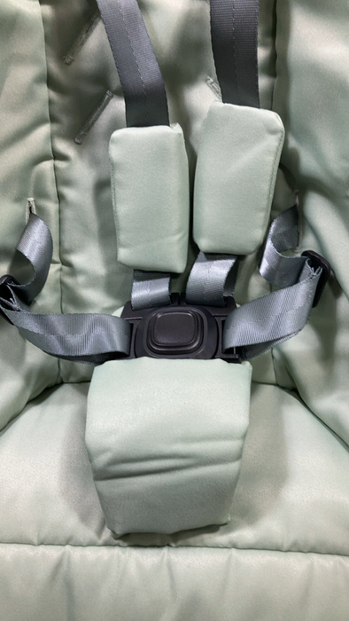 Shop 4moms MamaRoo Multi-Motion Baby Swing, Sage Limited Edition at Goodbuygears