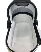 Shop Mockingbird Bassinet, Black at Goodbuygears