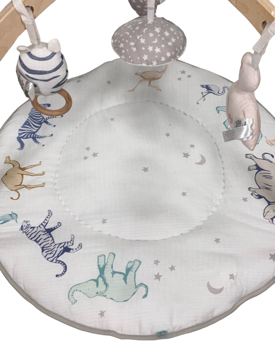 Shop Aden + Anais Play + Discover Baby Activity Gym, Rising Star at Goodbuygears