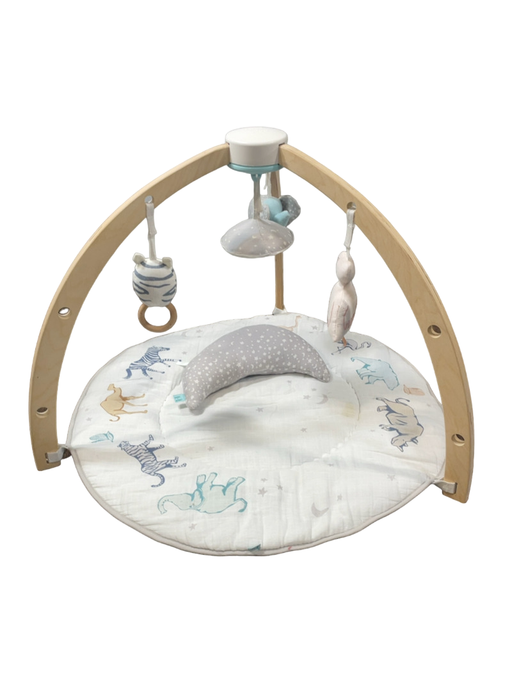 Shop Aden + Anais Play + Discover Baby Activity Gym, Rising Star at Goodbuygears