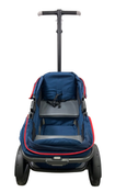 Shop Gladly Family AnthemZ Wagon, Wild Berry at Goodbuygears