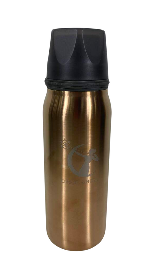 Shop Ceres Chill Breastmilk Chiller, You're So Golden-Special Edition at Goodbuygears