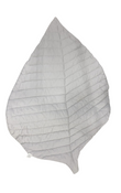 Shop Toddlekind Leaf Mat, Stone at Goodbuygears