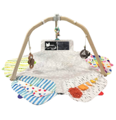 Shop Lovevery The Play Gym at Goodbuygears