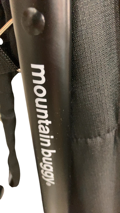 Shop Mountain Buggy Nano Duo Stroller, 2024, Black at Goodbuygears