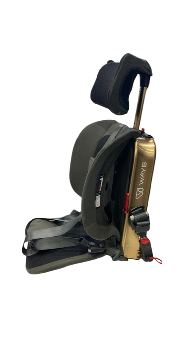 Shop WAYB Pico Portable Car Seat, 2023, Earth at Goodbuygears