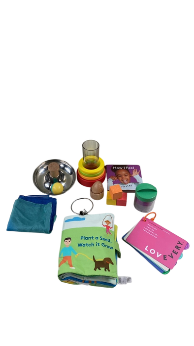 Shop Lovevery The Explorer Play Kit at Goodbuygears