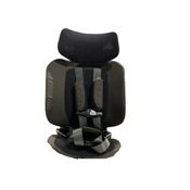 Shop WAYB Pico Portable Car Seat, 2022, Earth at Goodbuygears