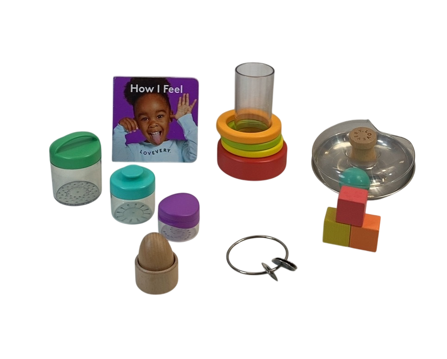 Shop Lovevery The Explorer Play Kit at Goodbuygears