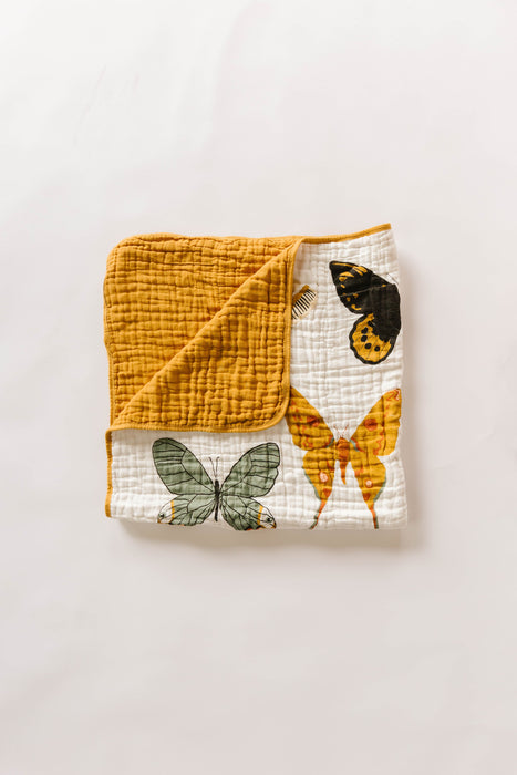 Shop Clementine Kids Butterfly Collector Quilt at Goodbuygears