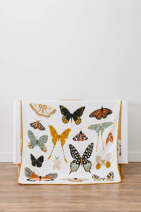 Shop Clementine Kids Butterfly Collector Quilt at Goodbuygears