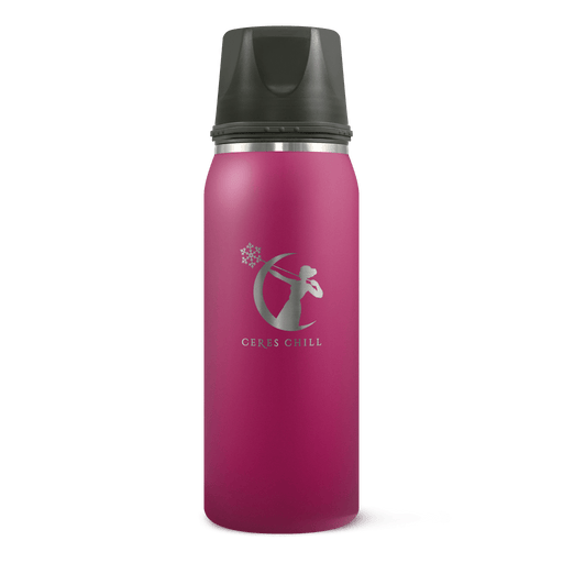 Shop Ceres Chill Legacy Breastmilk Chiller (32oz), Plum at Goodbuygears
