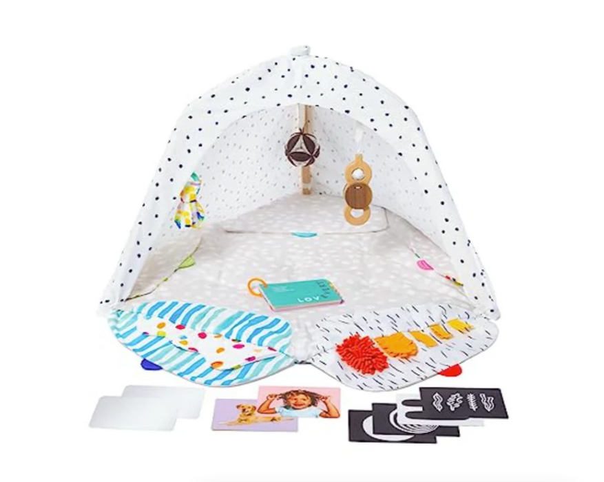 Shop Lovevery The Play Gym at Goodbuygears