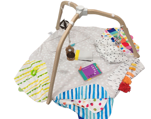 Shop Lovevery The Play Gym at Goodbuygears