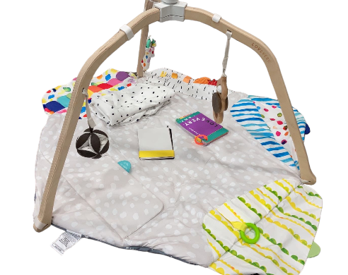 Shop Lovevery The Play Gym at Goodbuygears
