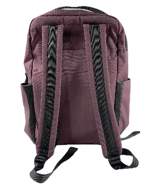 Shop Red Rovr Roo Backpack Diaper Bag, Mauve at Goodbuygears
