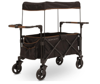 Shop Delta Children Hercules Stroller Wagon for 2 Kids, Black at Goodbuygears