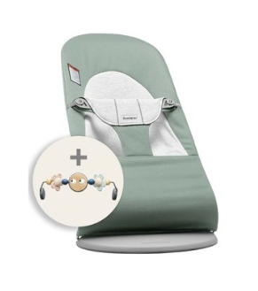 Shop BabyBjorn Bouncer Balance Bundle With Toy Bar, Light Gray Frame, Light Sage/Gray, Pastel Googly Eyes at Goodbuygears