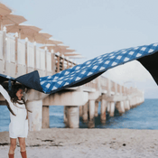 Shop Little Unicorn Outdoor Blanket, Navy Plaid at Goodbuygears