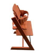 Shop Stokke Tripp Trapp Complete High Chair, Terracotta, Terracotta at Goodbuygears