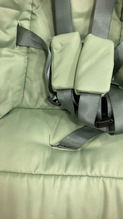 Shop 4moms MamaRoo Multi-Motion Baby Swing, Sage Limited Edition at Goodbuygears