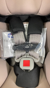 Shop Chicco Keyfit 35 Infant Car Seat, Springhill, 2024 at Goodbuygears