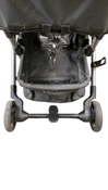 Shop Colugo Compact Stroller, 2018, Floral at Goodbuygears