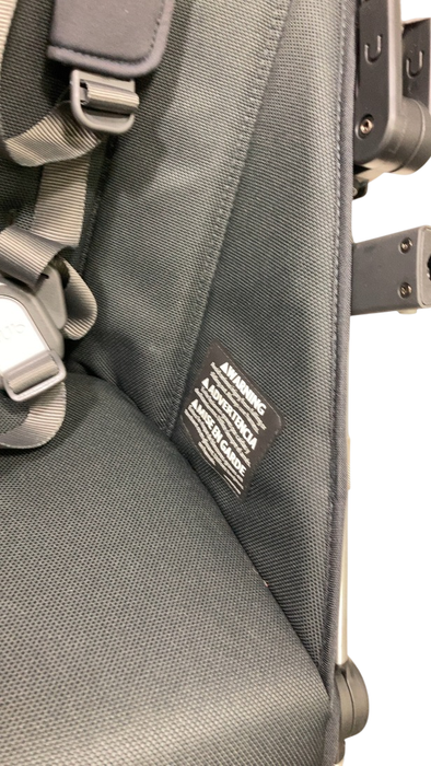 Shop UPPAbaby Rumbleseat V2+, Alice (Dusty Pink) at Goodbuygears