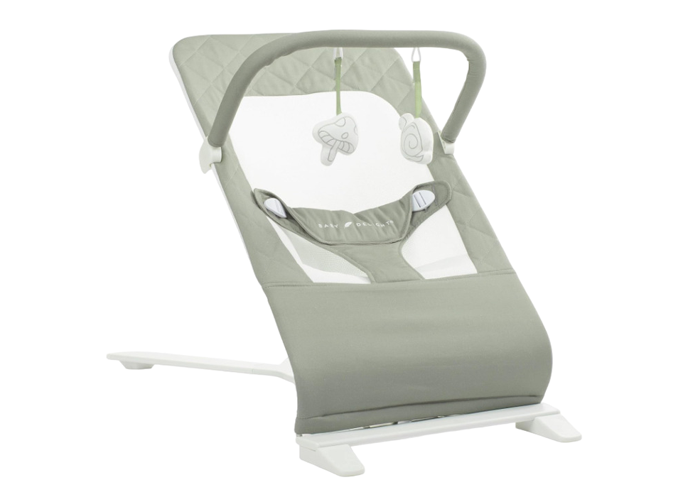 Shop Baby Delight Alpine Deluxe Portable Bouncer, Organic Sage at Goodbuygears