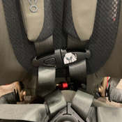 Shop WAYB Pico Portable Car Seat, 2023, Earth at Goodbuygears