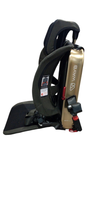 Shop WAYB Pico Portable Car Seat, 2022, Earth at Goodbuygears