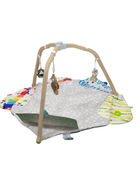 Shop Lovevery The Play Gym at Goodbuygears