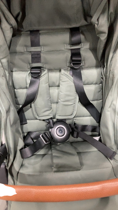 Shop Zoe The Tour Stroller, 2019, Luxe Green, V1 at Goodbuygears