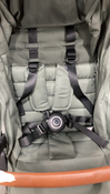 Shop Zoe The Tour Stroller, 2019, Luxe Green, V1 at Goodbuygears