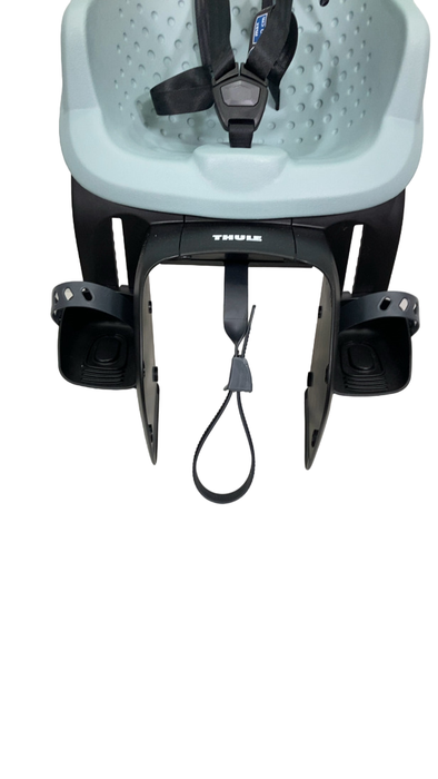 Shop Thule Yepp 2 Maxi Rack Mounted Child Bike Seat , Alaska at Goodbuygears