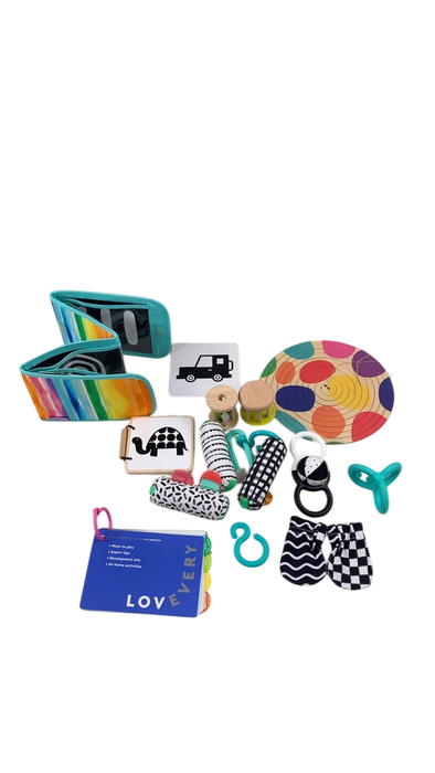 Shop Lovevery The Looker Play Kit at Goodbuygears