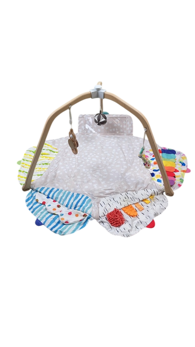 Shop Lovevery The Play Gym at Goodbuygears