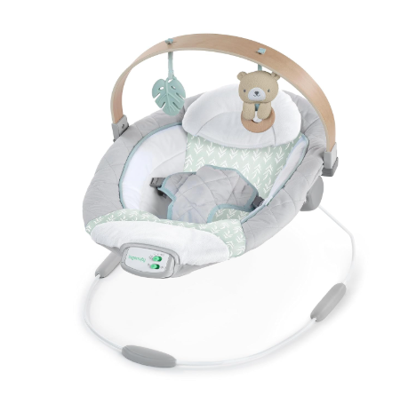 Shop Ingenuity Cozy Spot Swing n Go Portable Swing, Nate at Goodbuygears