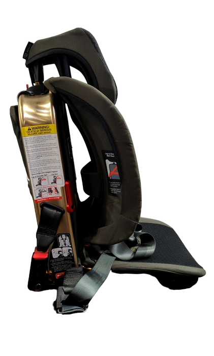 Shop WAYB Pico Portable Car Seat, 2023, Earth at Goodbuygears