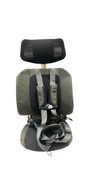 Shop WAYB Pico Portable Car Seat, Earth, 2024 at Goodbuygears