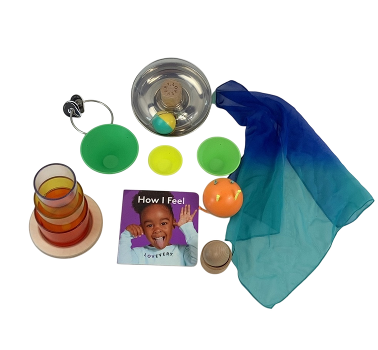Shop Lovevery The Explorer Play Kit at Goodbuygears